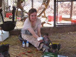 Volunteer with animals in South Africa