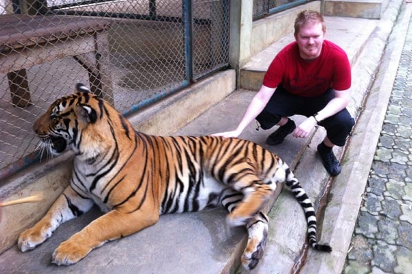 Dave hanging out with Tigers in Chiang Mai