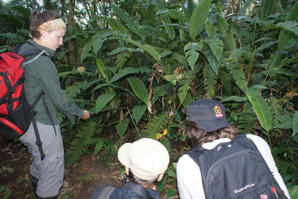 GVI Volunteers in Costa Rica