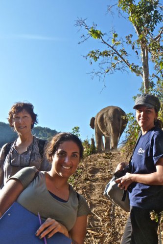 GVI Volunteers in Thailand