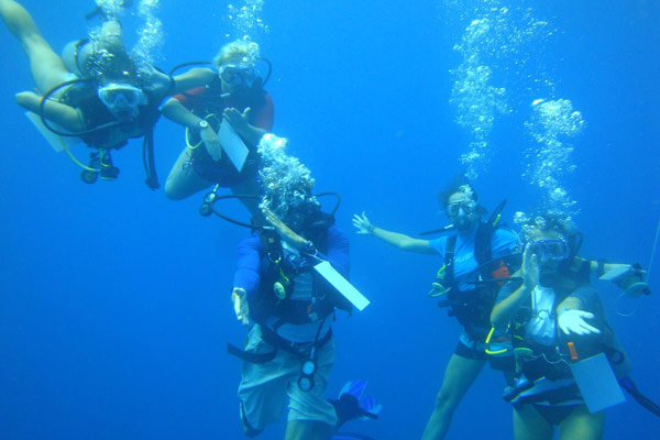 Diving in Mexico