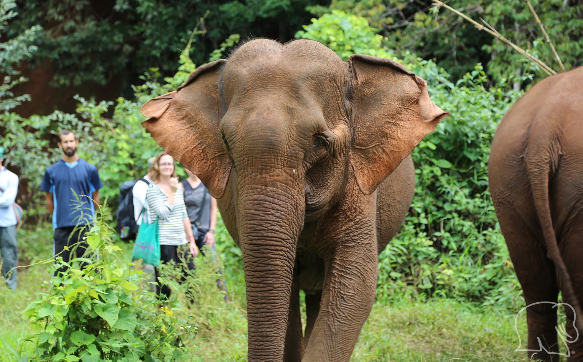 Great Value Conservation & Animal Care Projects | Go Overseas Great Value Conservation & Animal Care Projects | Go Overseas