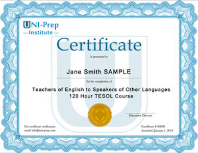 online phd tesol