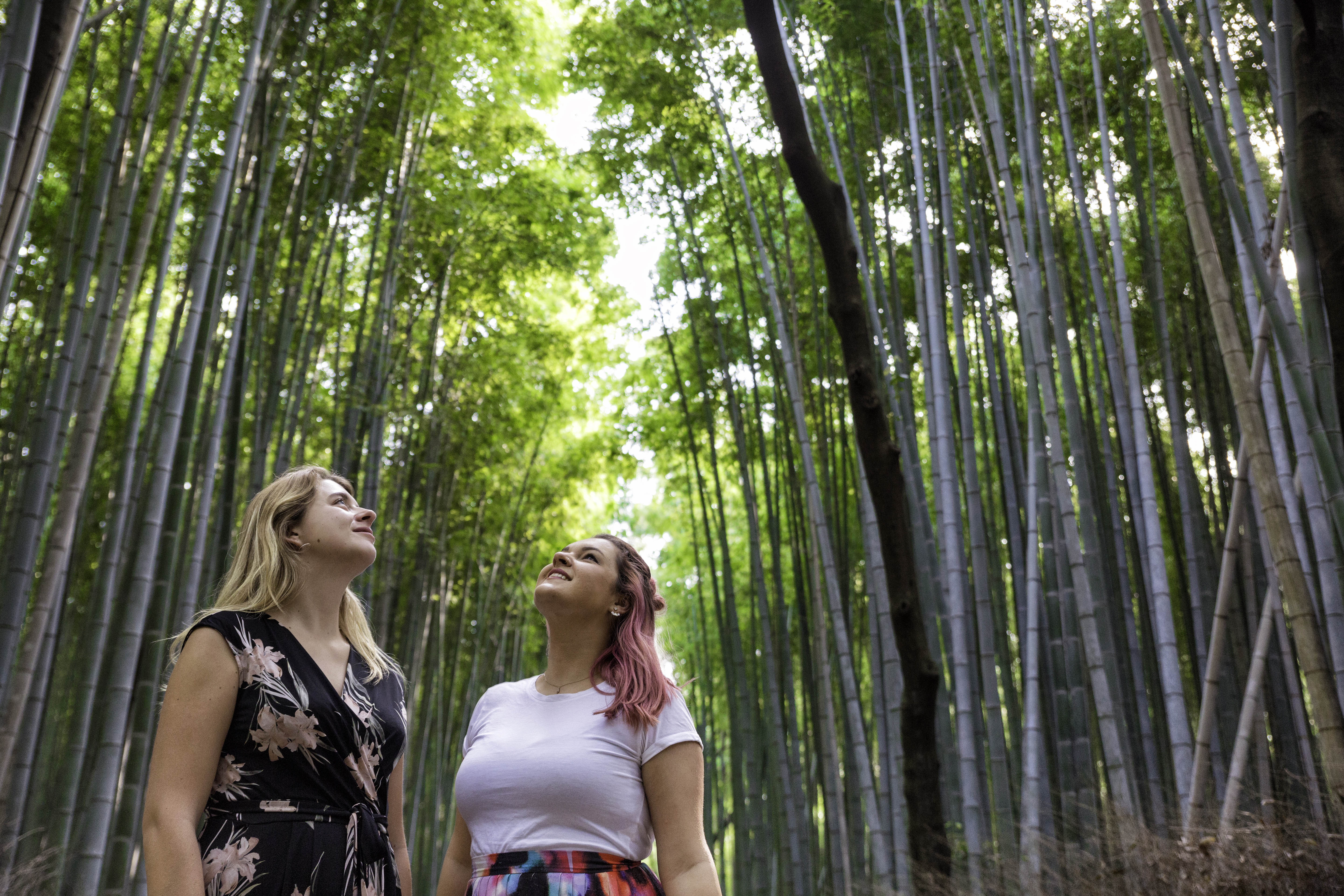 Japan Adventure Trip With Intro Travel Go Overseas Japan Adventure Trip With Intro Travel Go Overseas