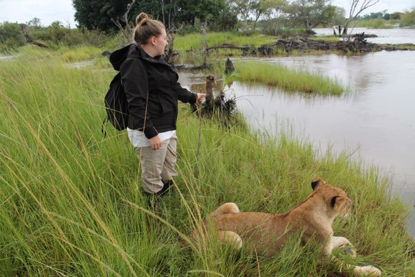 Discover wildlife while volunteering in Zambia with African Impact