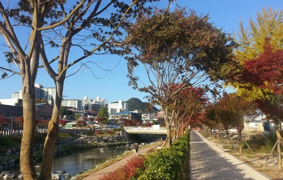 Interview with Tabitha, a teacher in South Korea with Footprints Recruiting