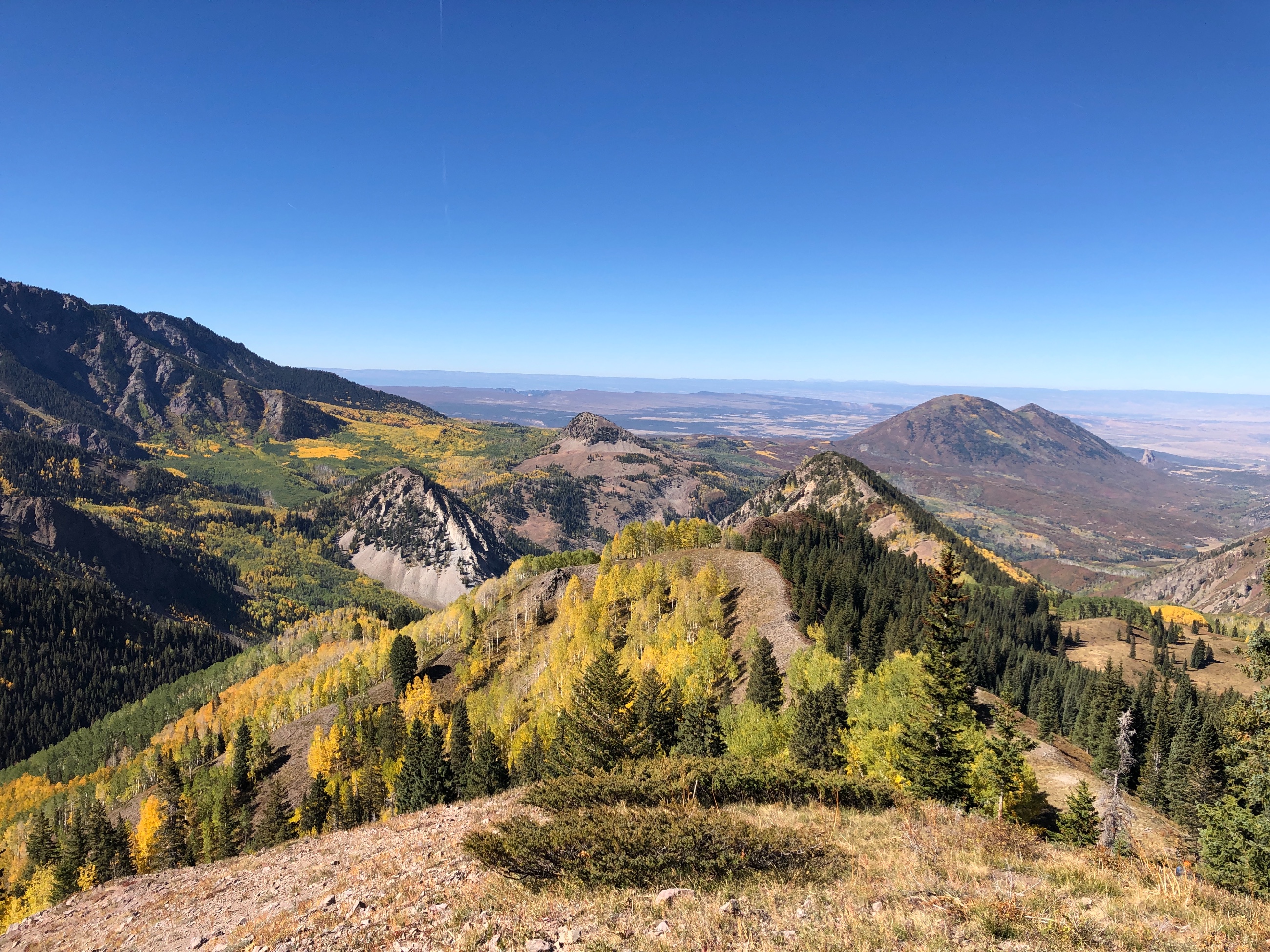 View in the West Elks