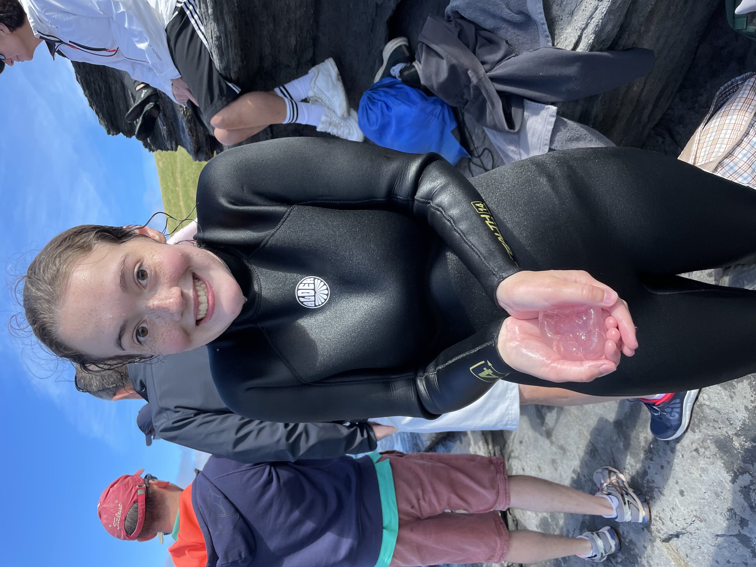 Holding a moon jelly a non stinging jellyfish 