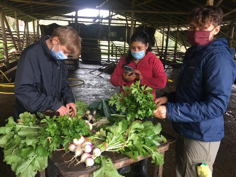 Volunteers work with Carmen to bundle veggies in the cow stable