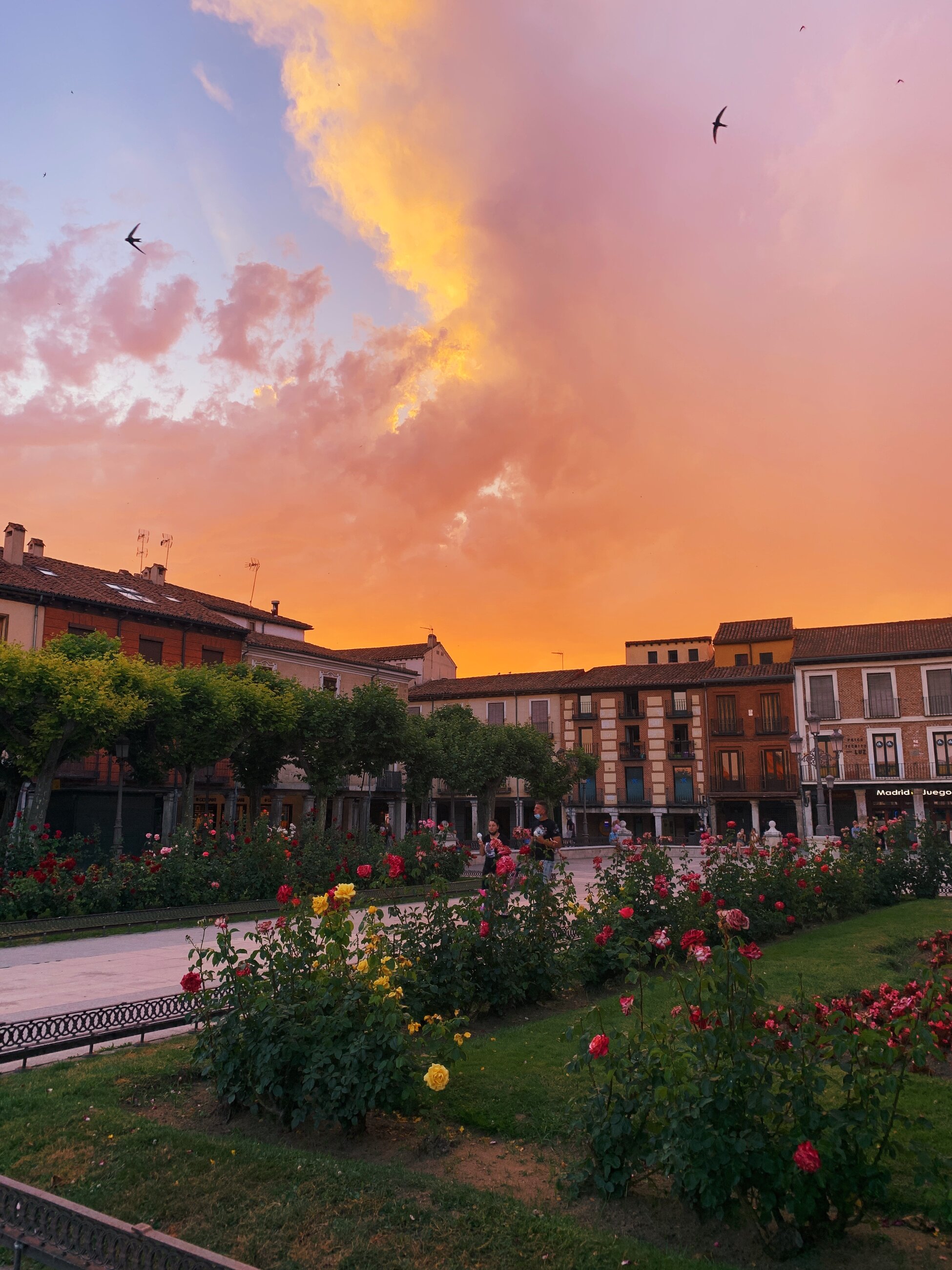 Plaza de Cervantes, Alcalá de Henares