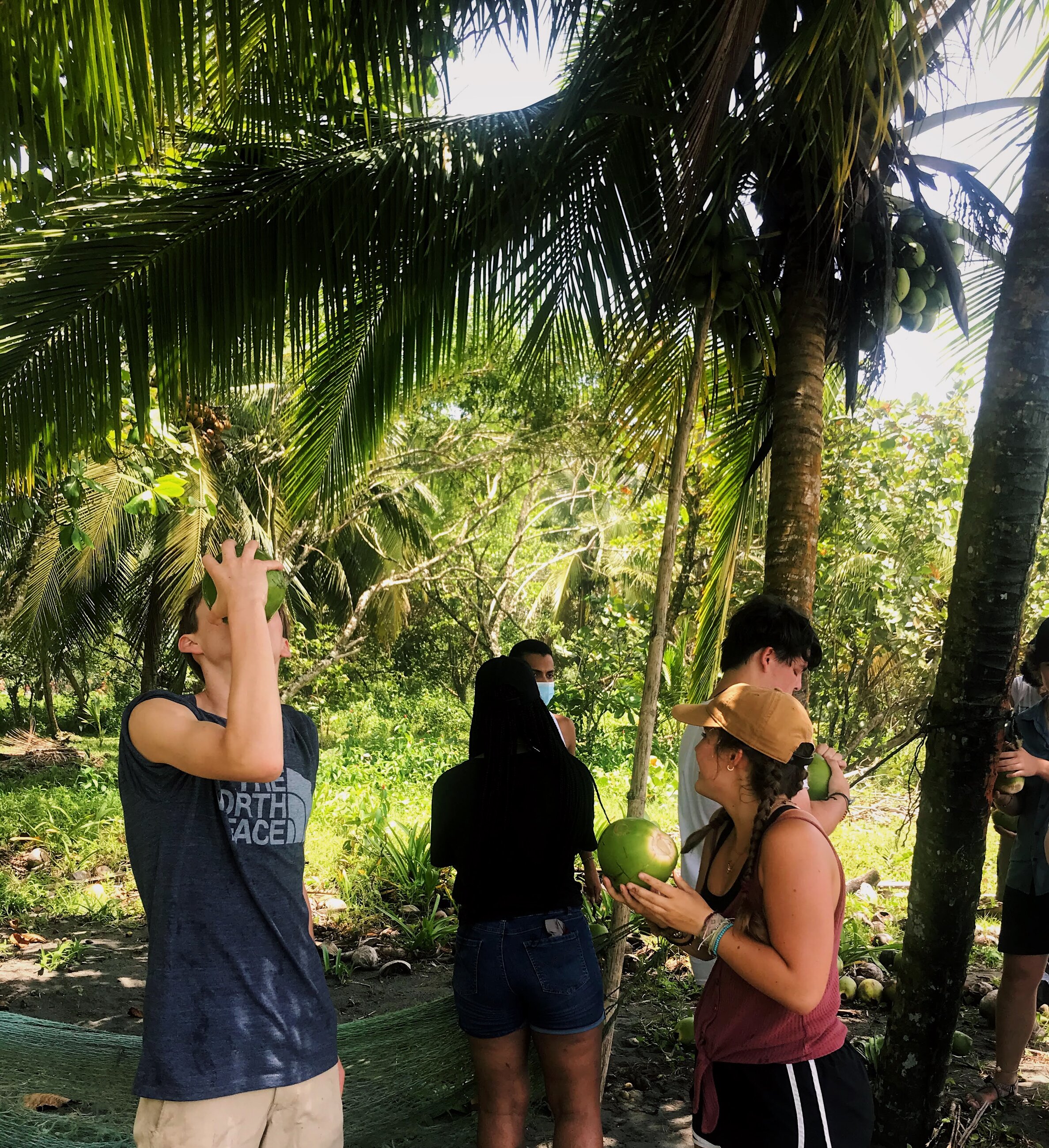 Drinking out of freshly picked coconuts in Parismina