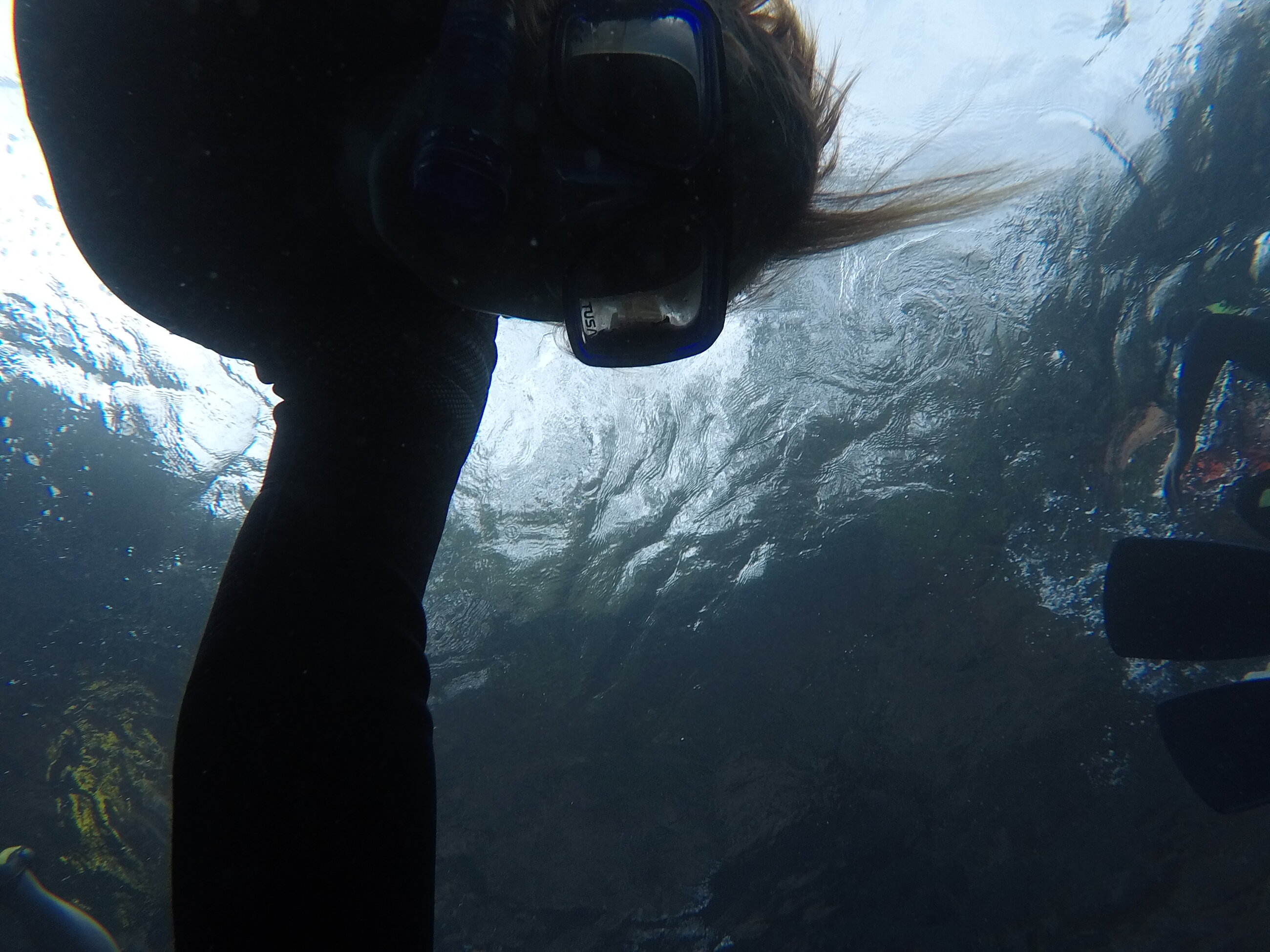 Freediving in St. Vincent 