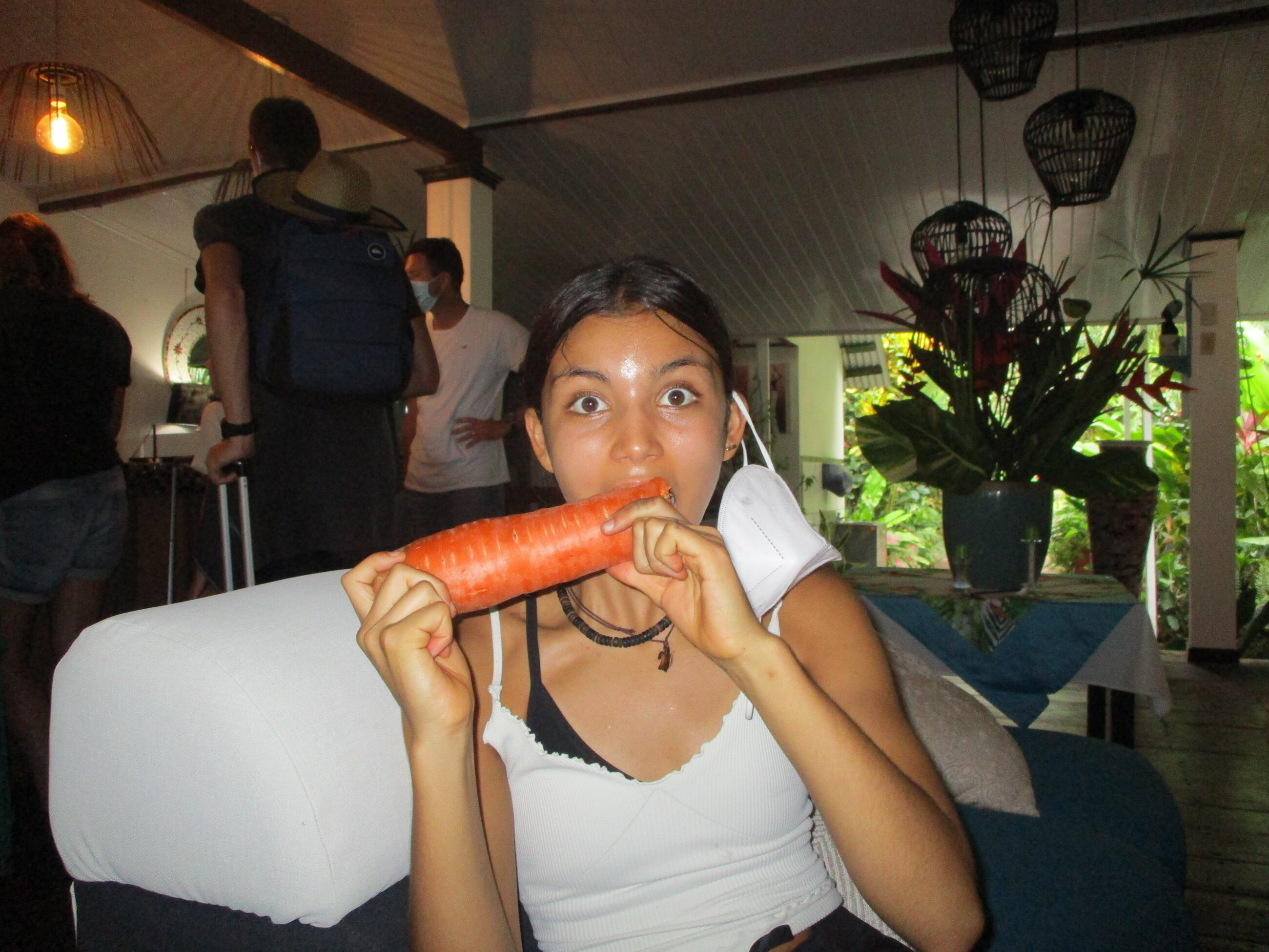 Costa Rica has HUGE carrots!