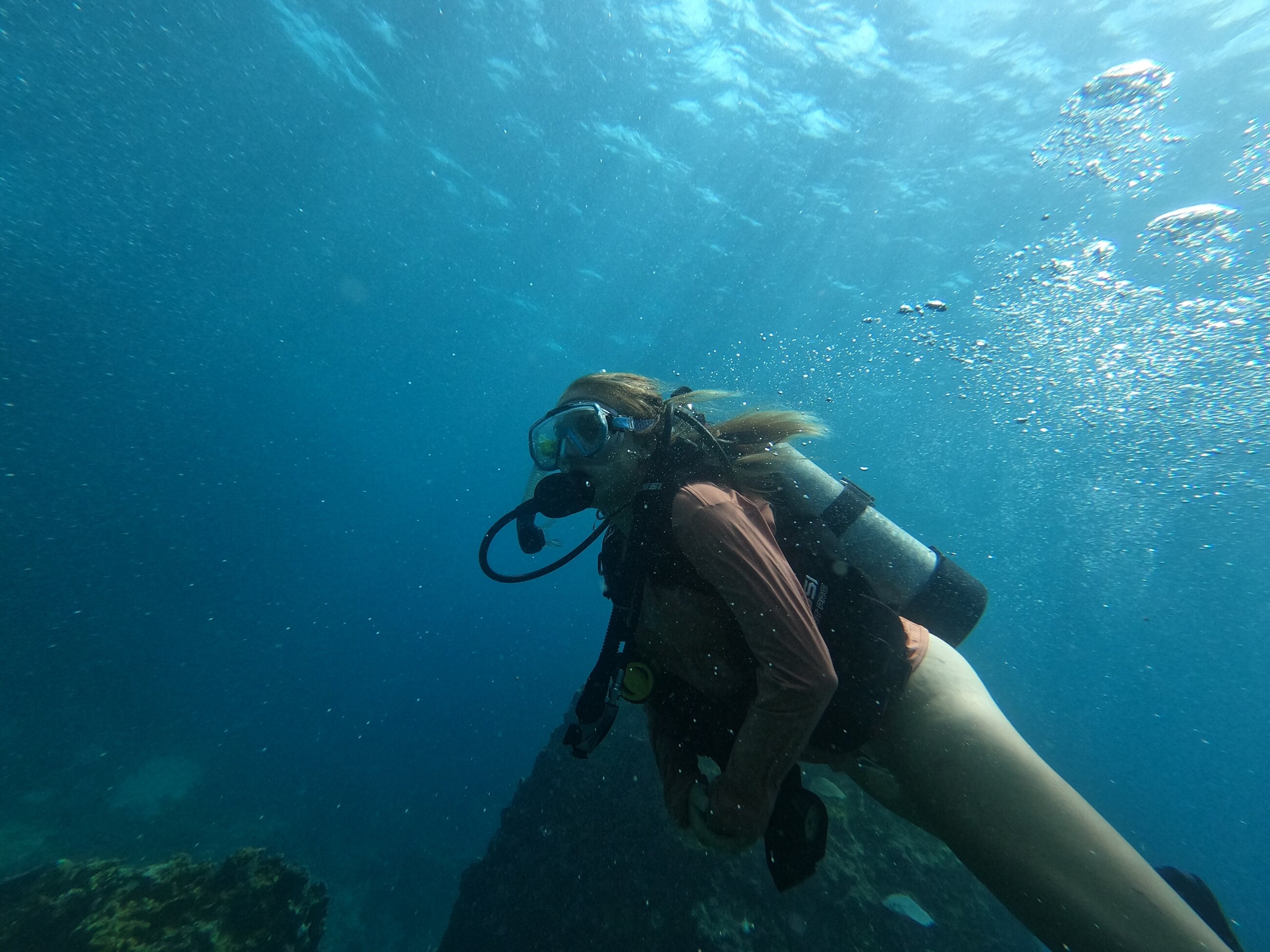 The diving is amazing!!!!!