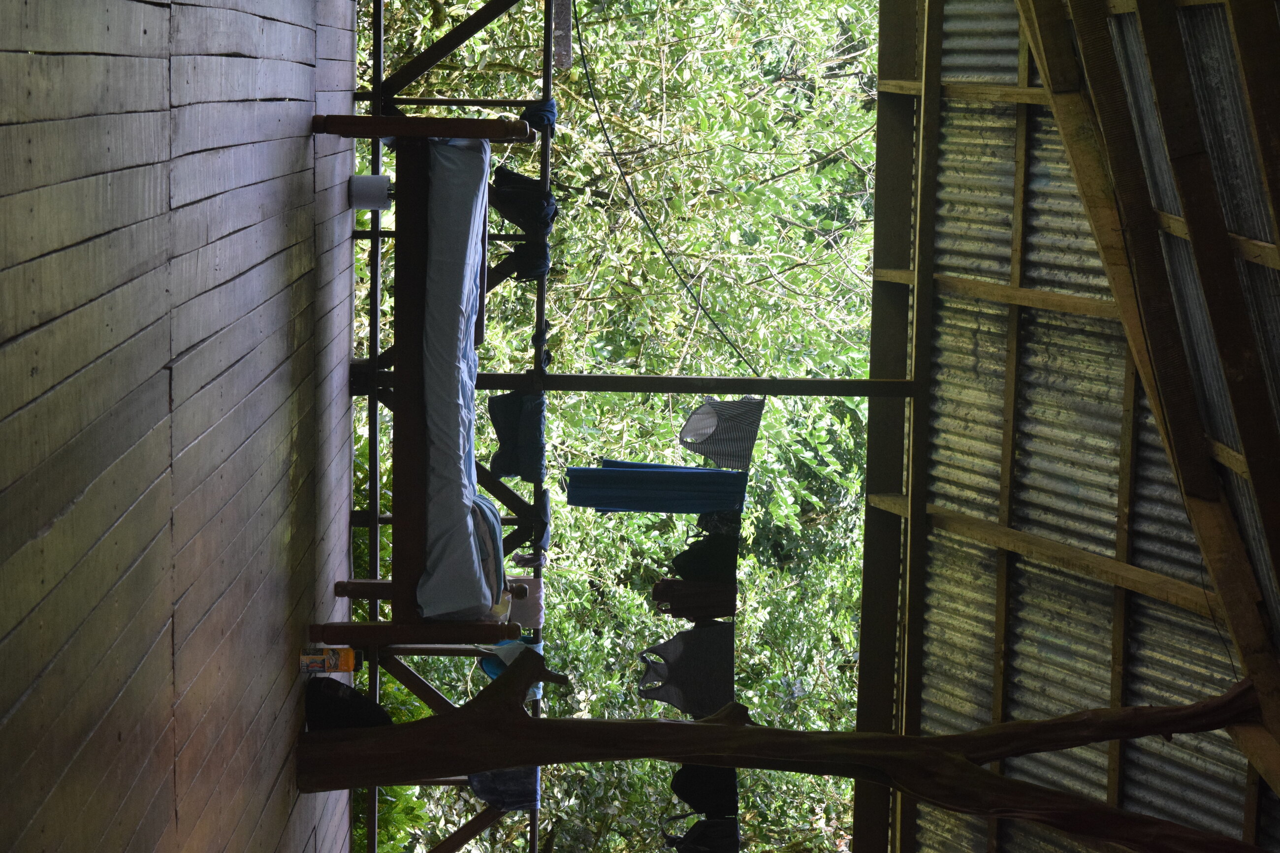 Rainforest Home