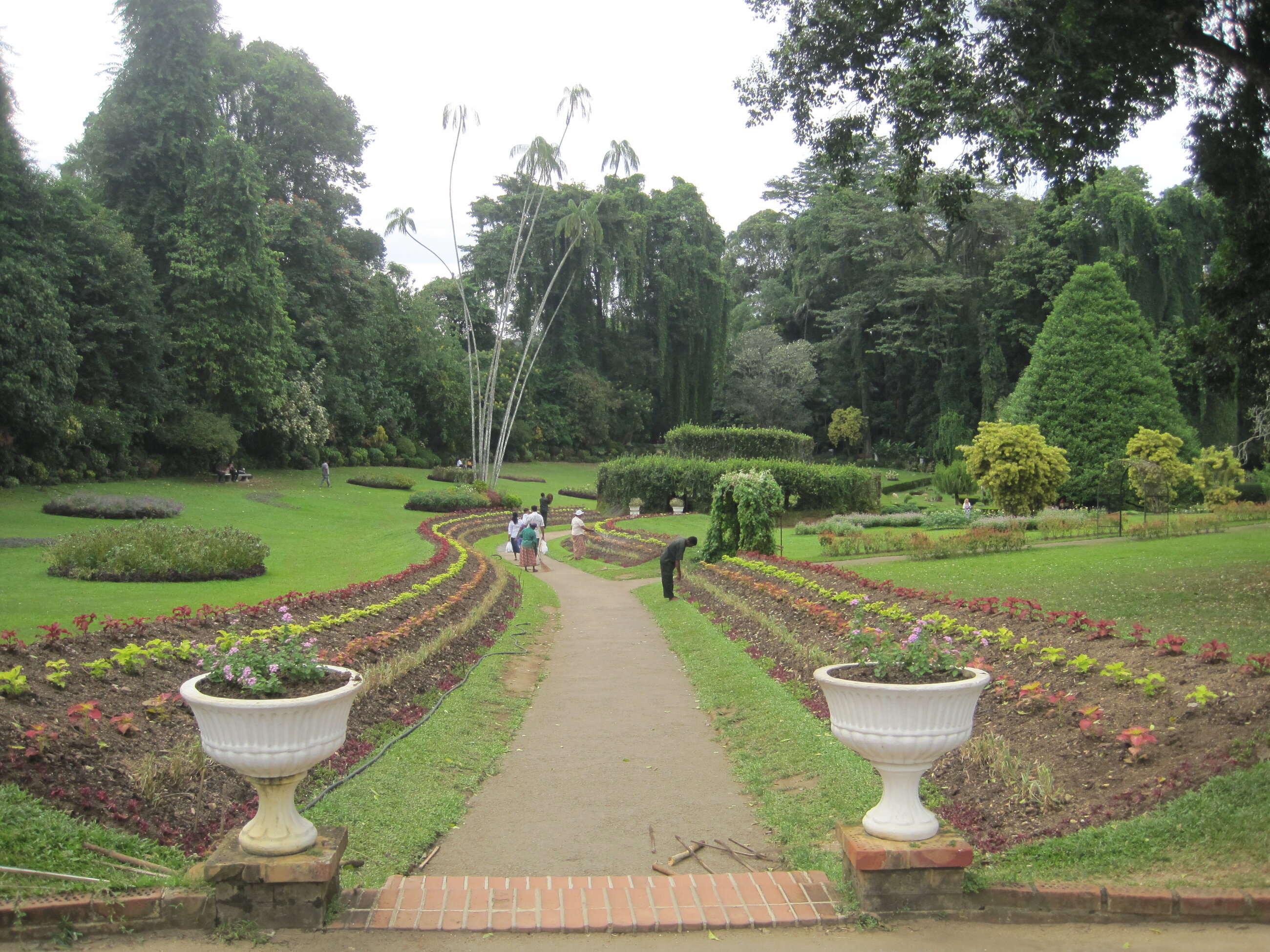 Botanical Gardens Kandy