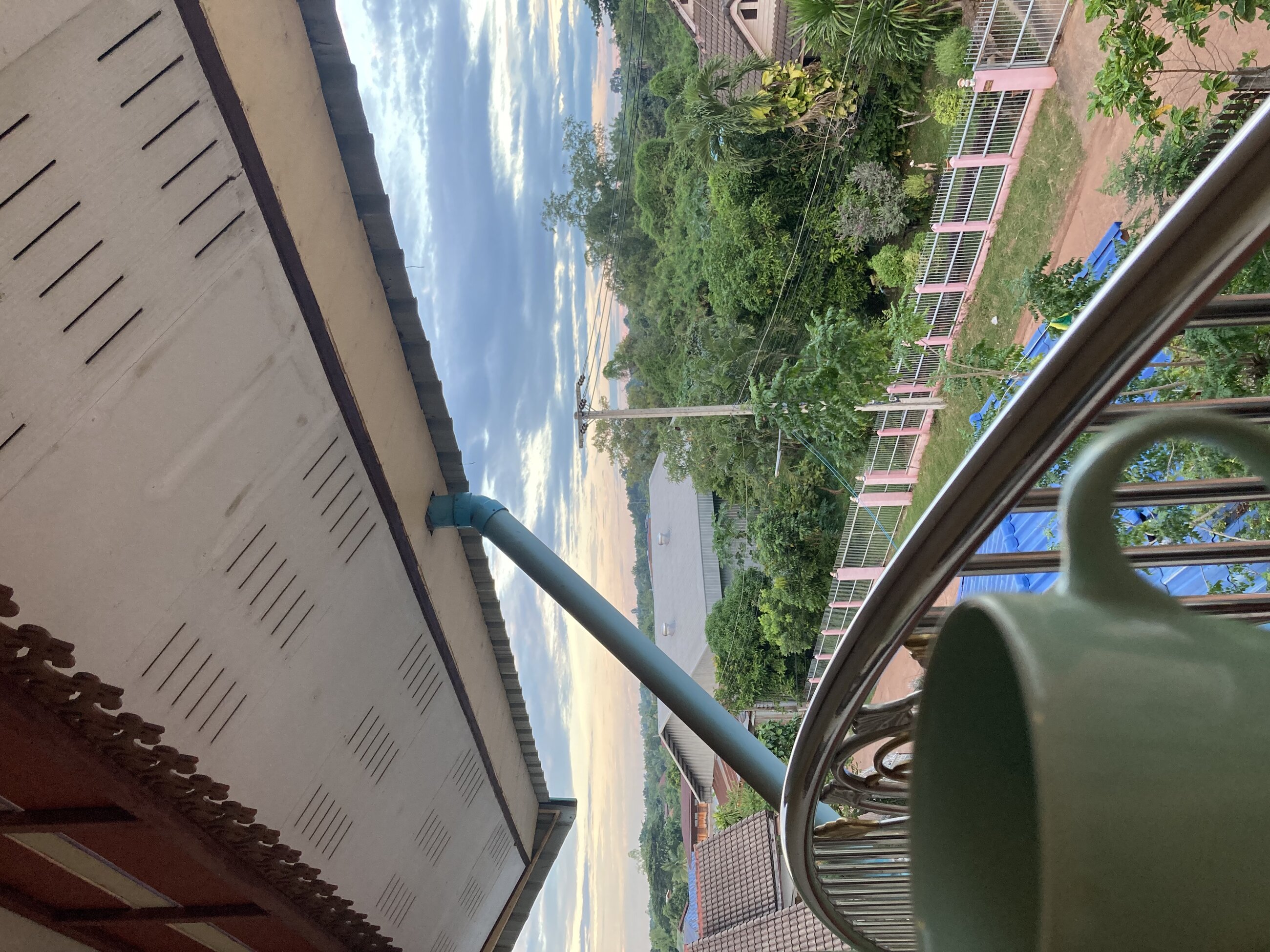 My morning view