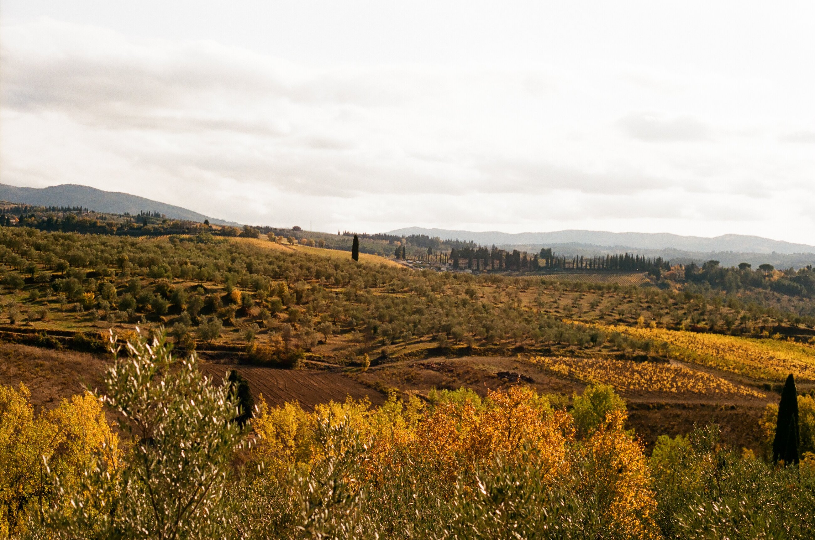 Tuscany views from Mondeggi