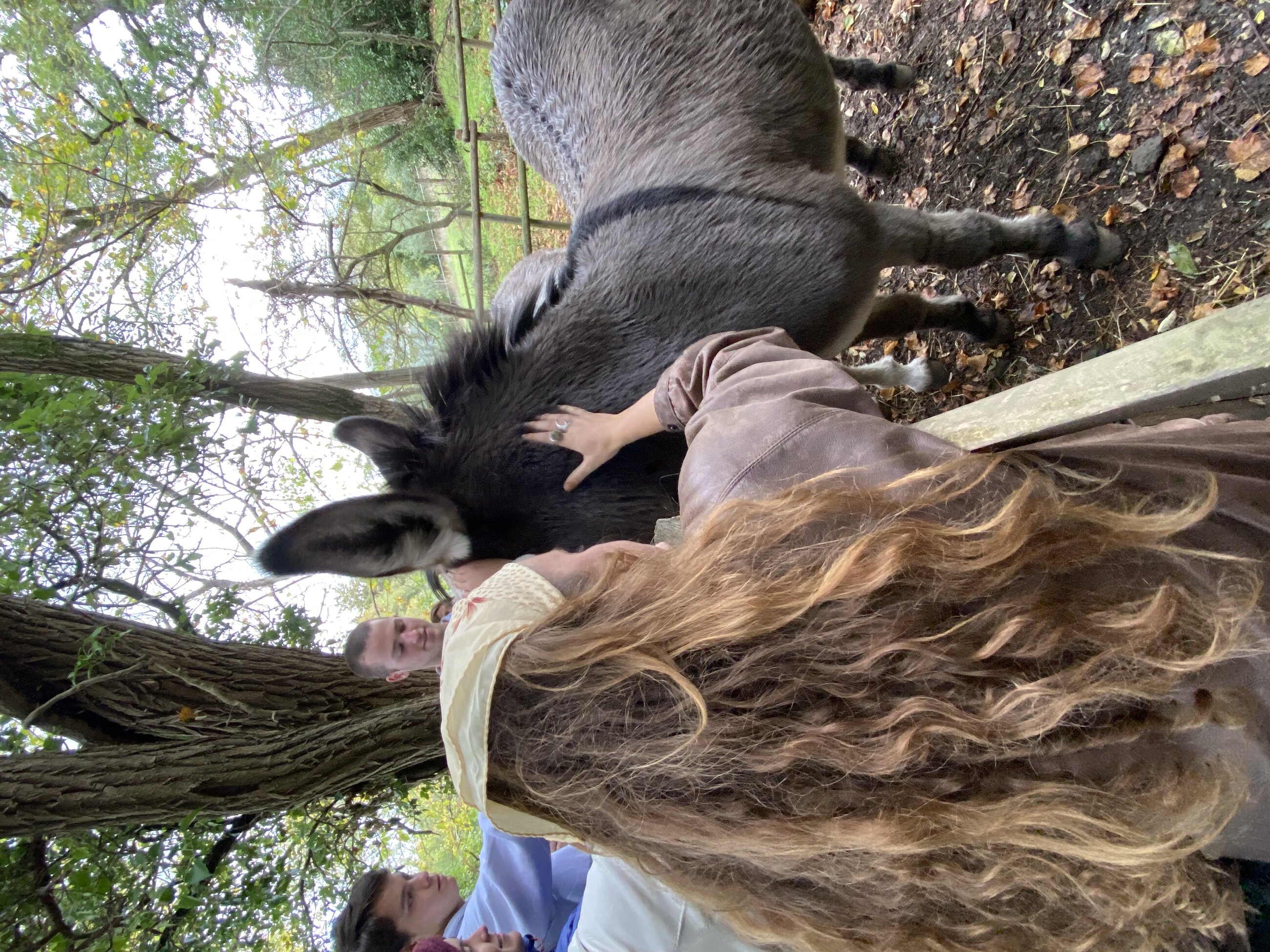 Petting Donkeys at a vineyard in Tuscany 