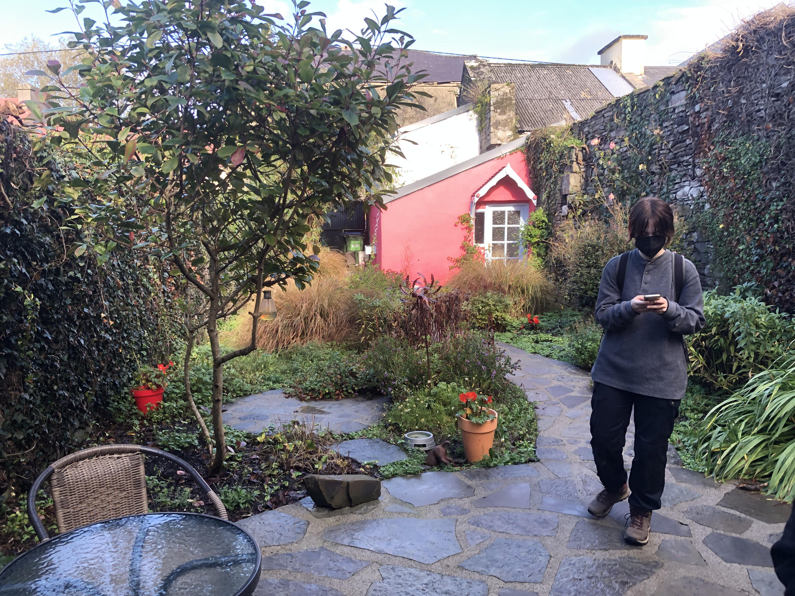 garden behind bookstore