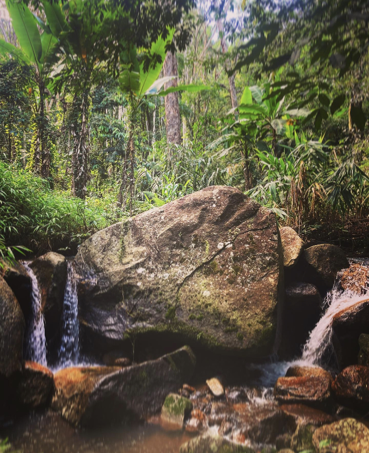 National Park nearby my house