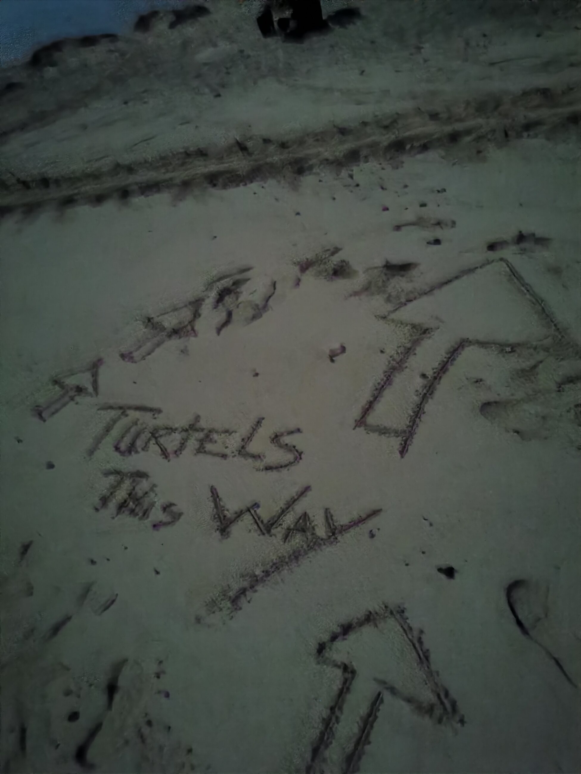 Sometimes I needed to wait a bit for the turtle to be done nesting, so I got a bit creative.