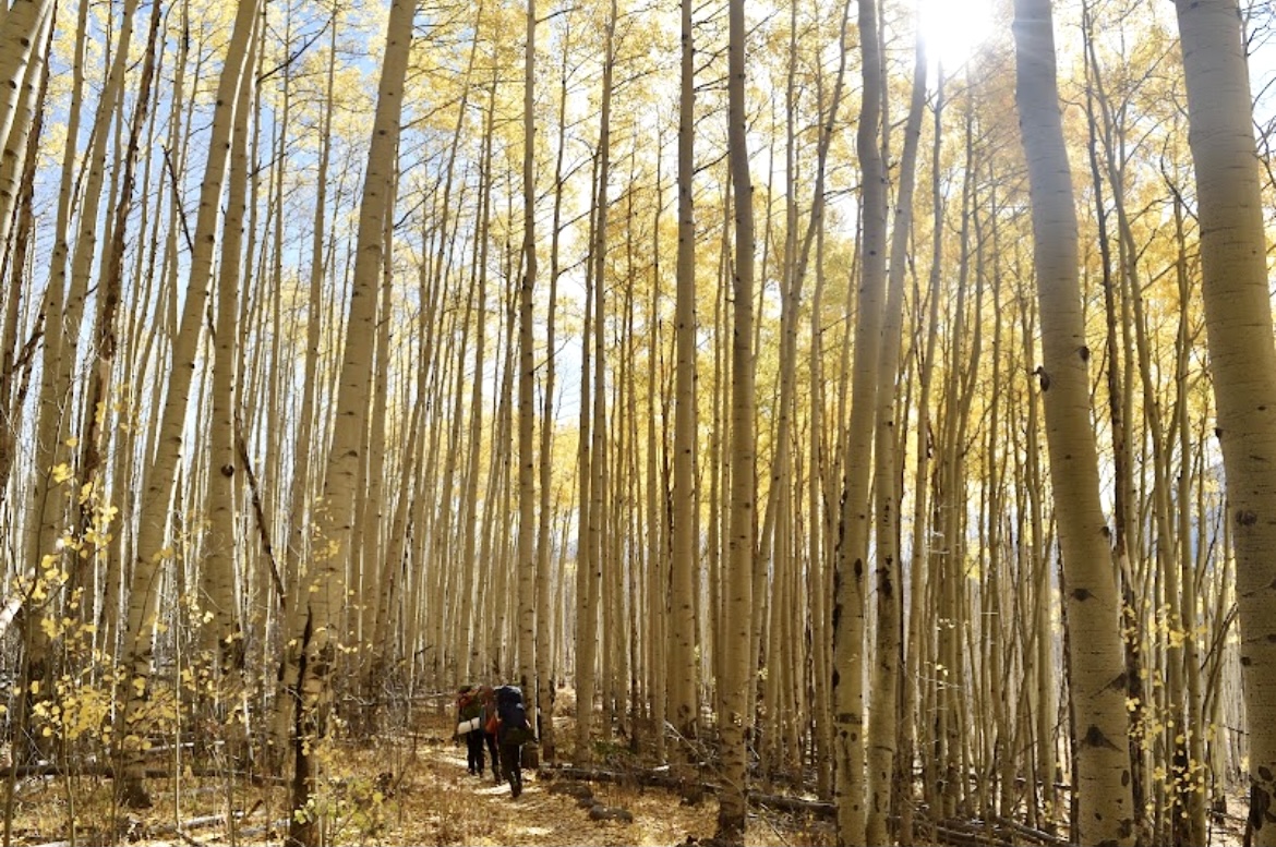 Backpacking in Aspens