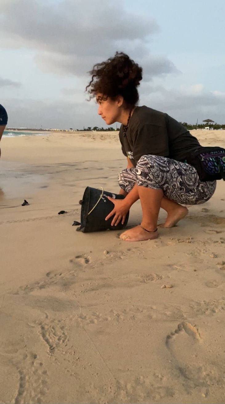 Releasing hatchlings after nest excavations