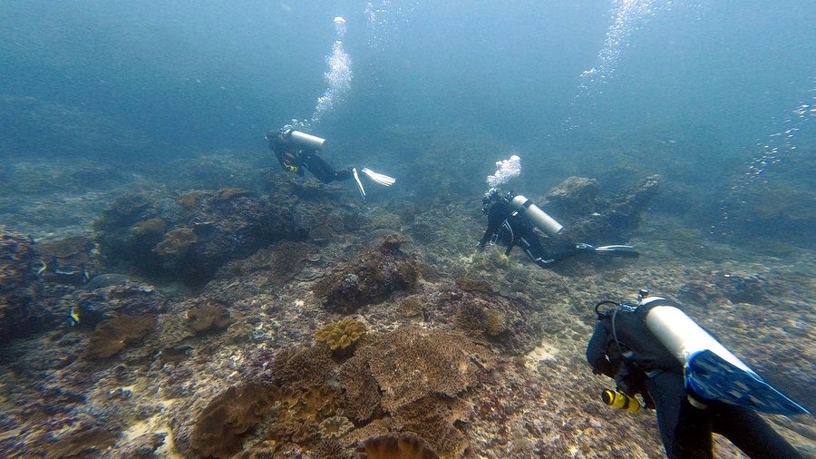 Leading my first dive!