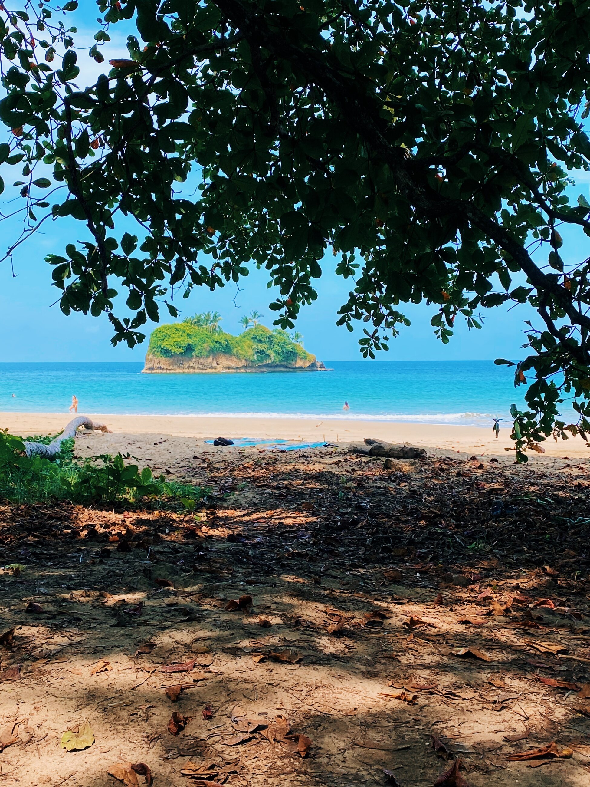 Costa Rican beach (one of a million you will see!)