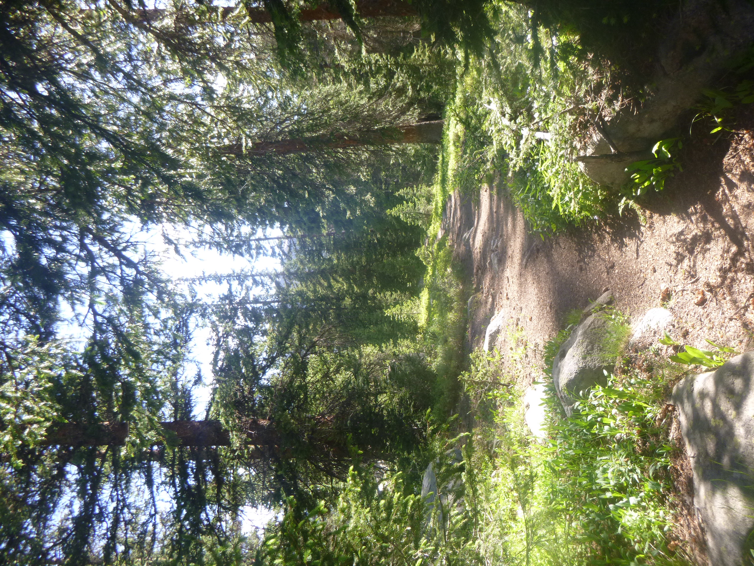 The view of the trail during our 1 week trek