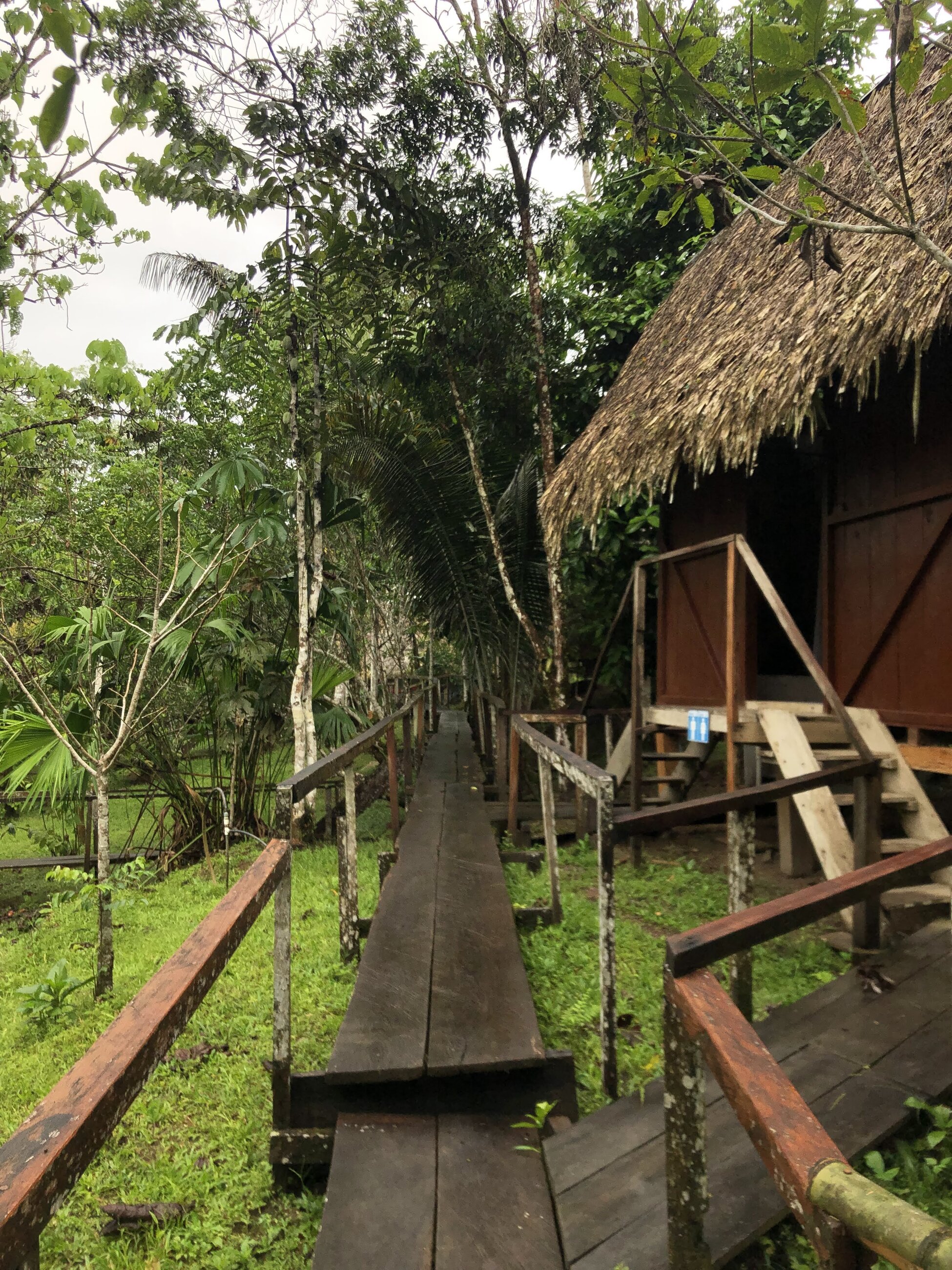 Mandari Panga lodge in Yasuní National Park