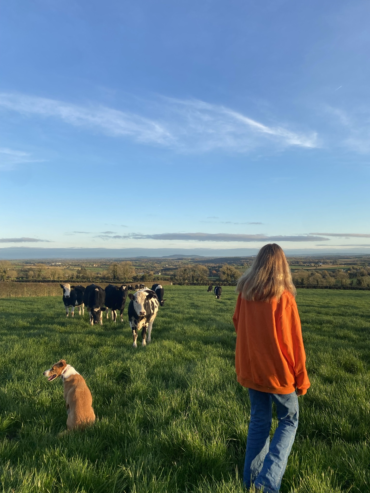 Ireland