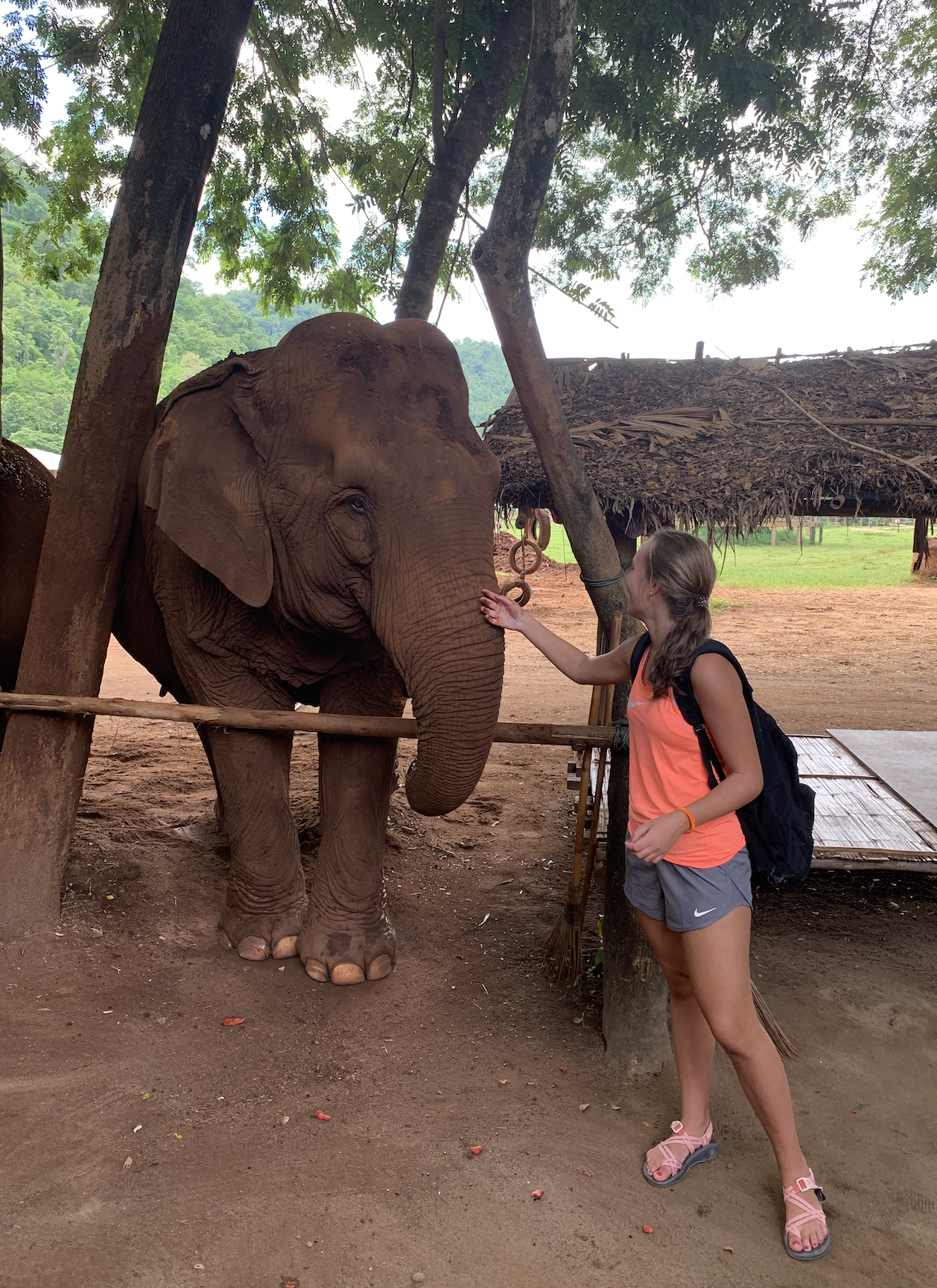 Elephant sanctuary