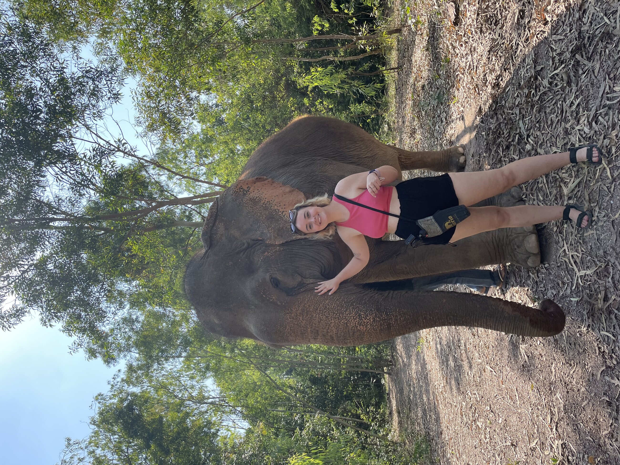Pattaya Elephant Sanctuary