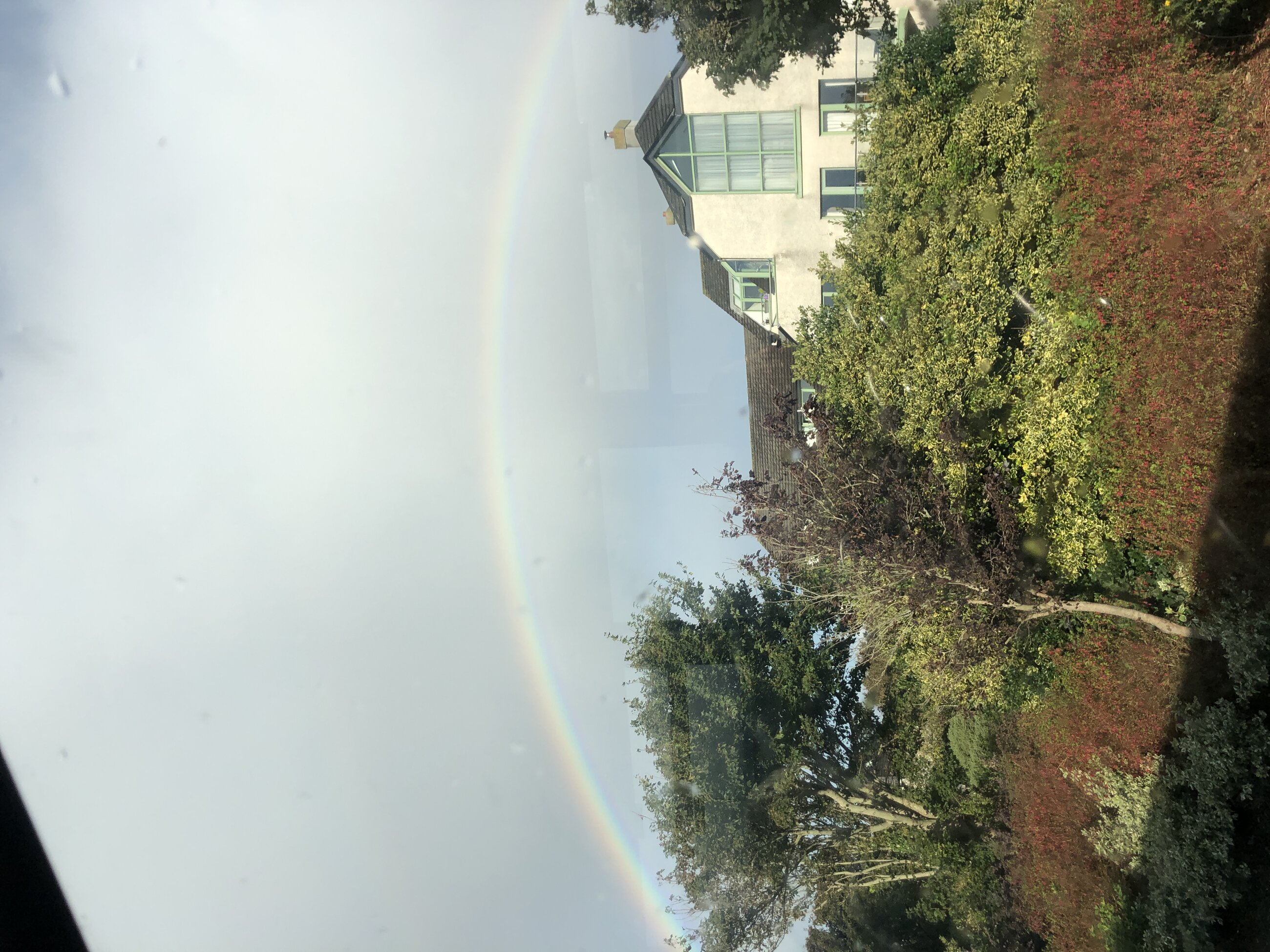 irish rainbow