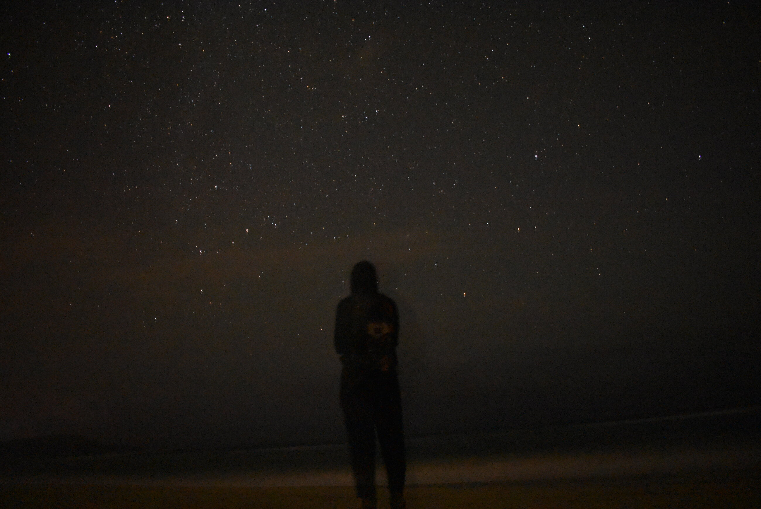 Star Gazing While Waiting for a Mama Turtle to Lay Her Eggs