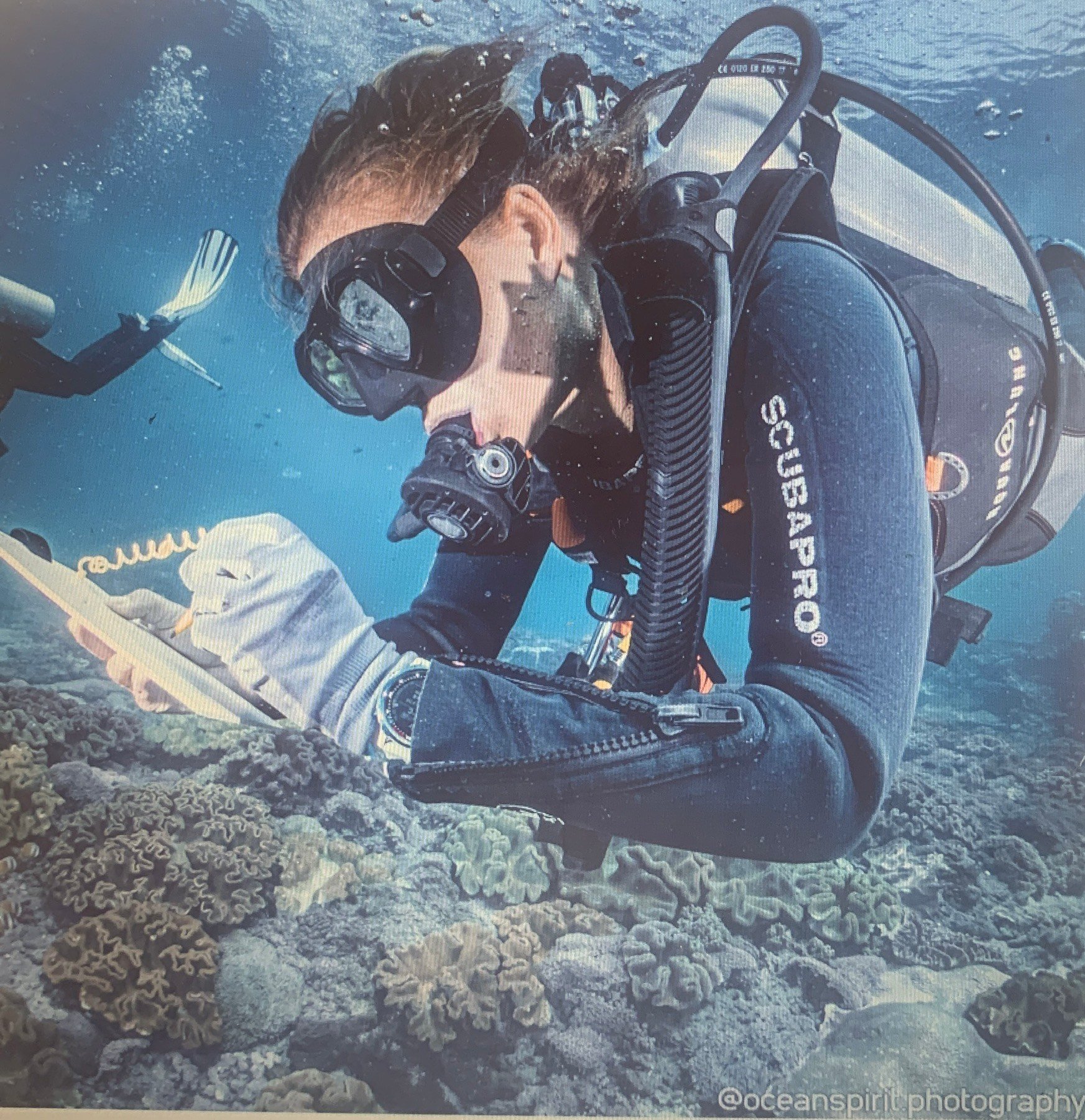 Survey Diving :)