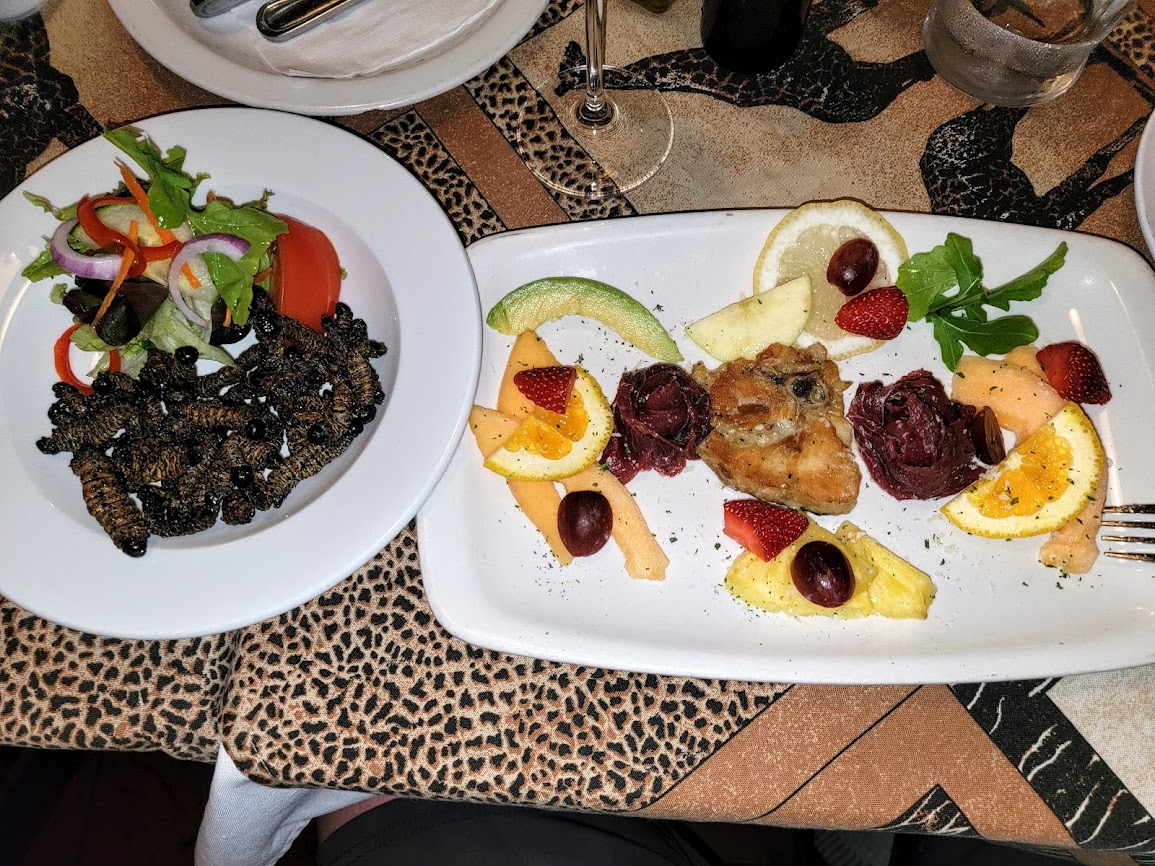 Raw Ostrich, Raw Springbok, Cooked crocodile tail and cooked Palm weevil larvae