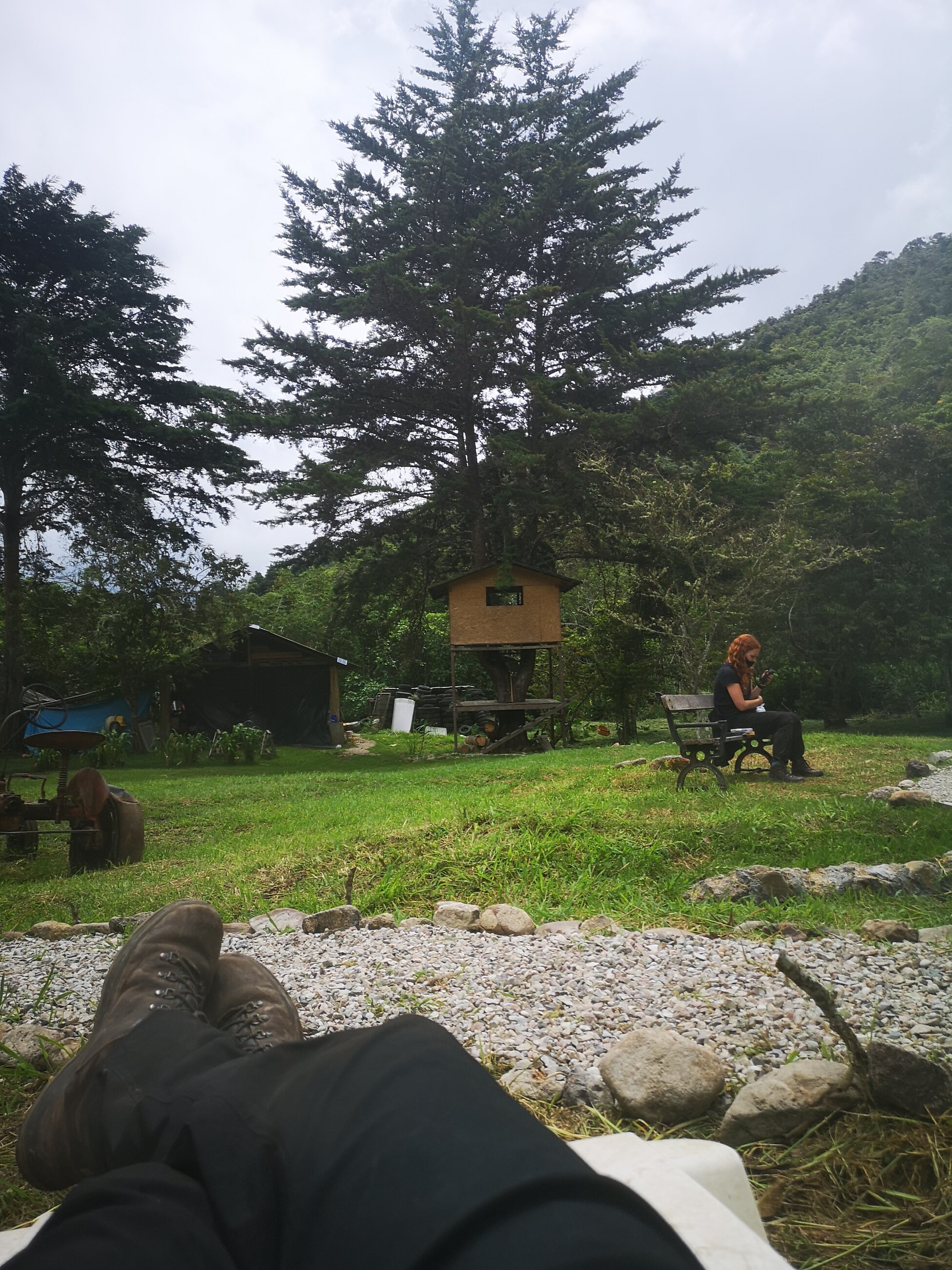 Relaxing one evening by the treehouse.