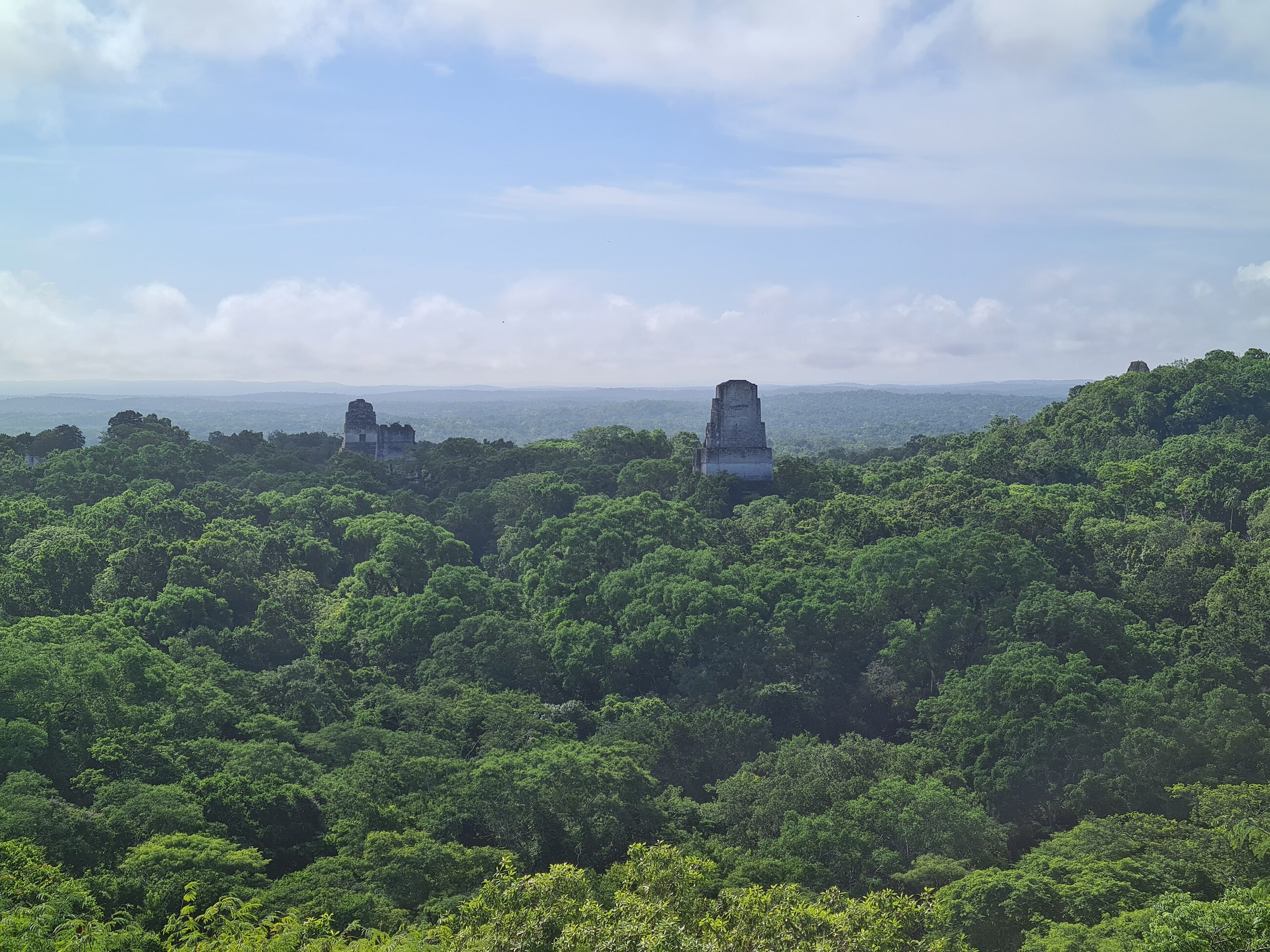 Tikal