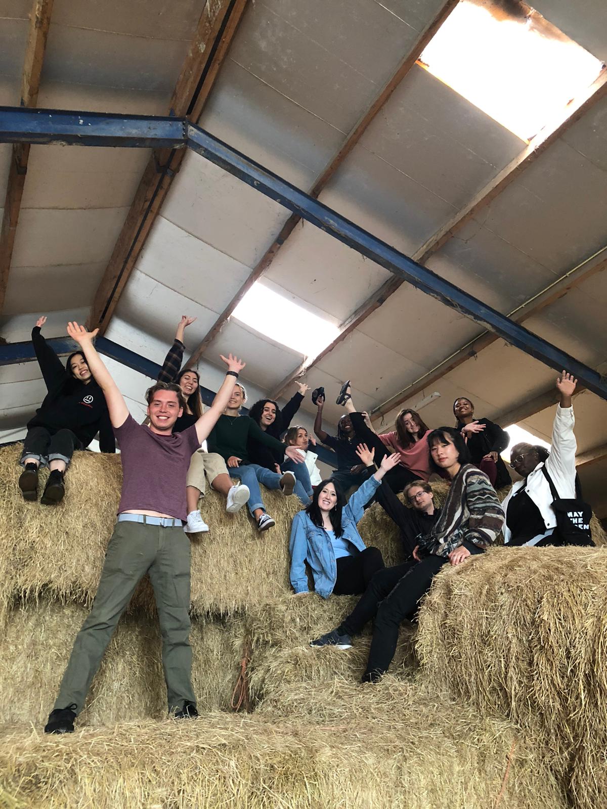 Group visit to a Dutch cheese farm!