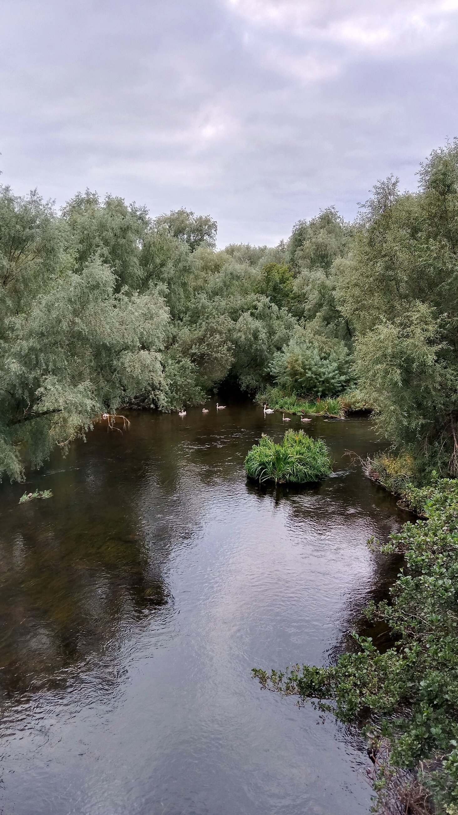 River on campus