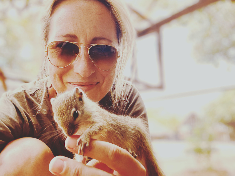 Kai the Baby Squirrel 