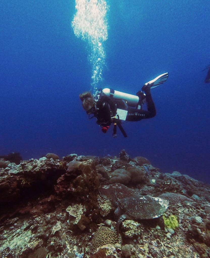 Diving