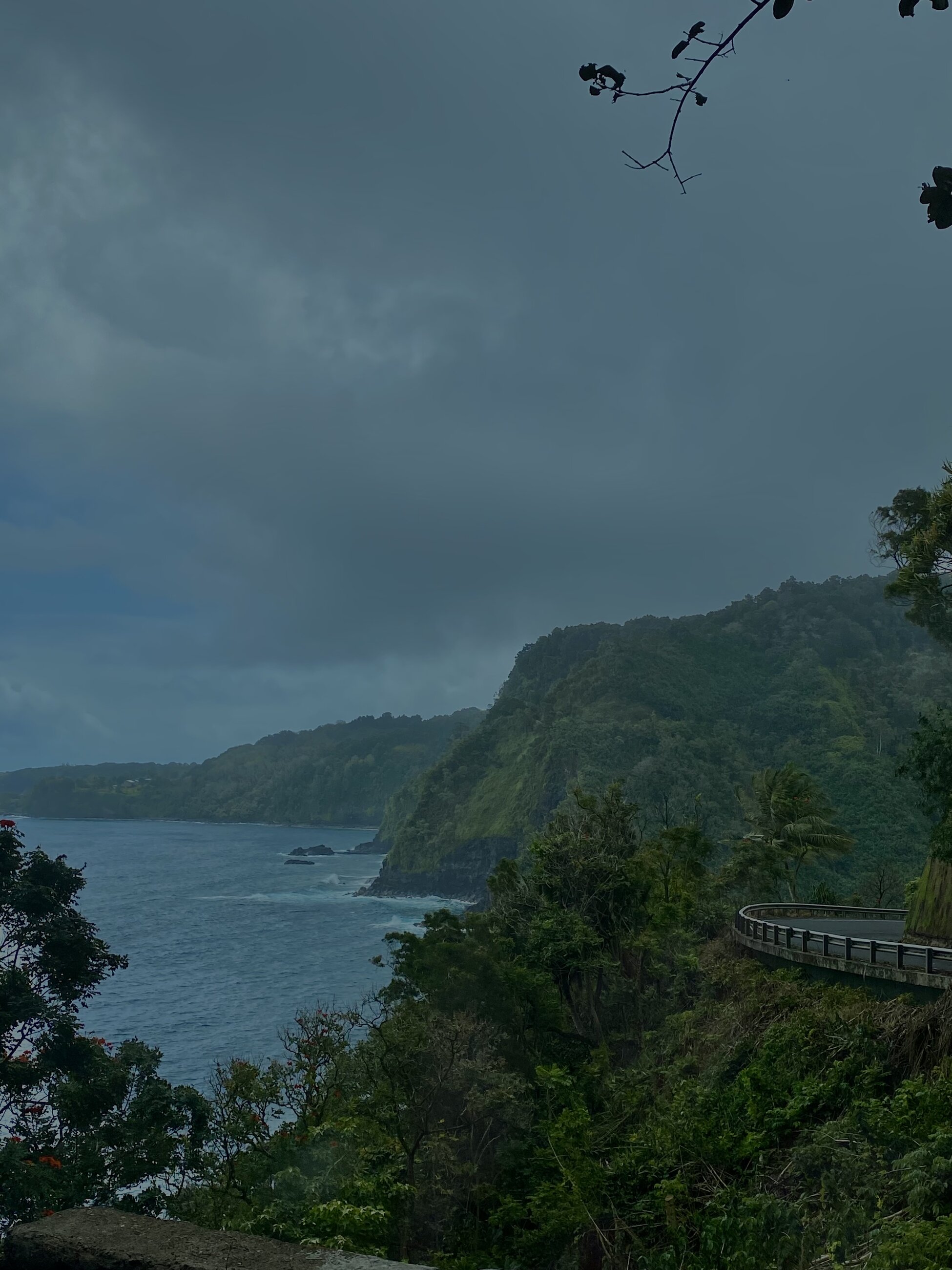 Road to Hana in Maui