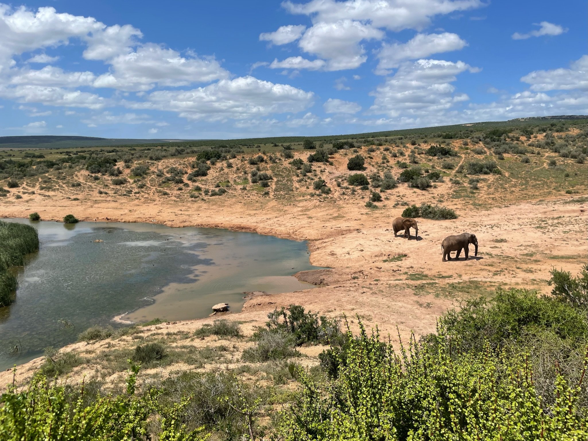 A weekend away in Port Elizabeth visiting Addo Elephant National Park.
