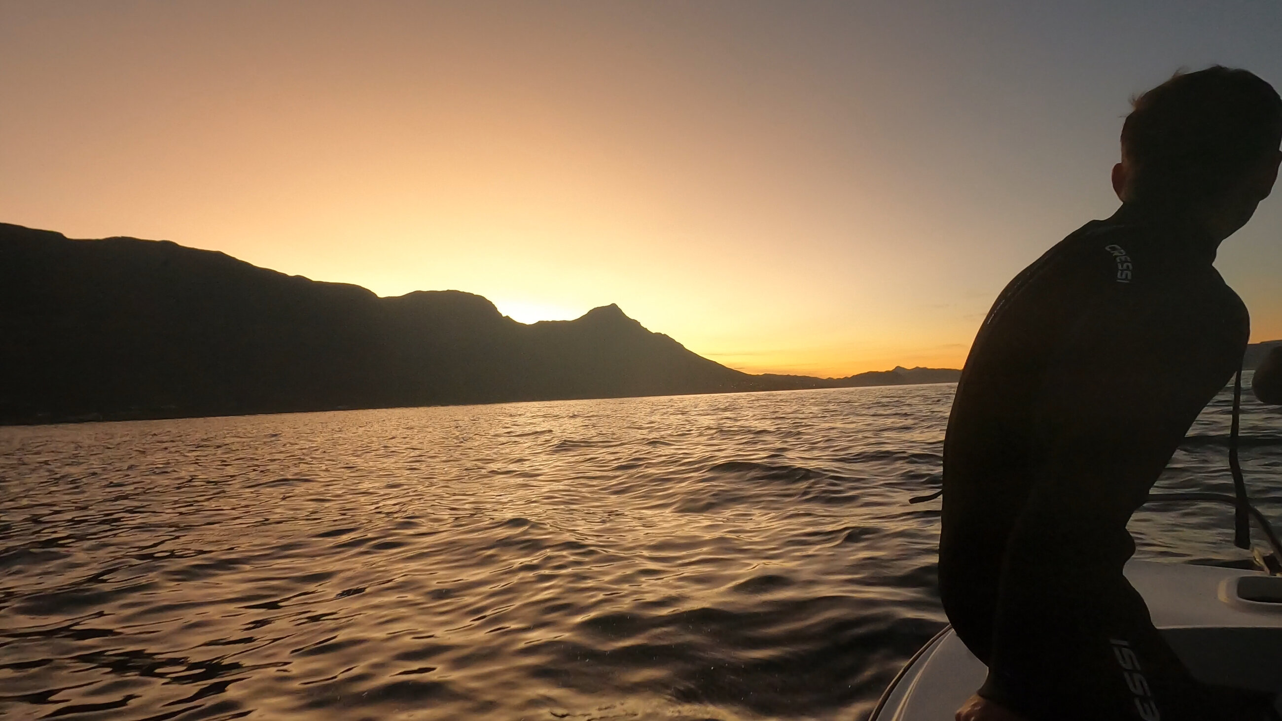 False bay diving day at sunset