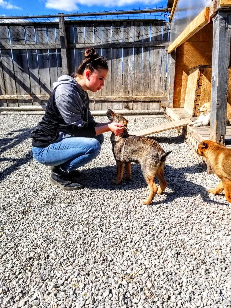 Visiting the dog shelter 