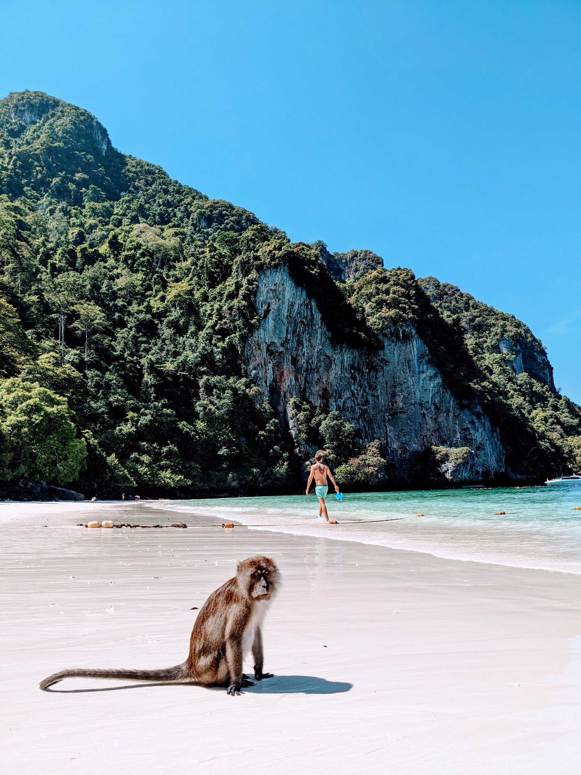 Monkey Beach Phi Phi Islands 